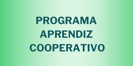 PROGRAMA APRENDIZ COOPERATIVO